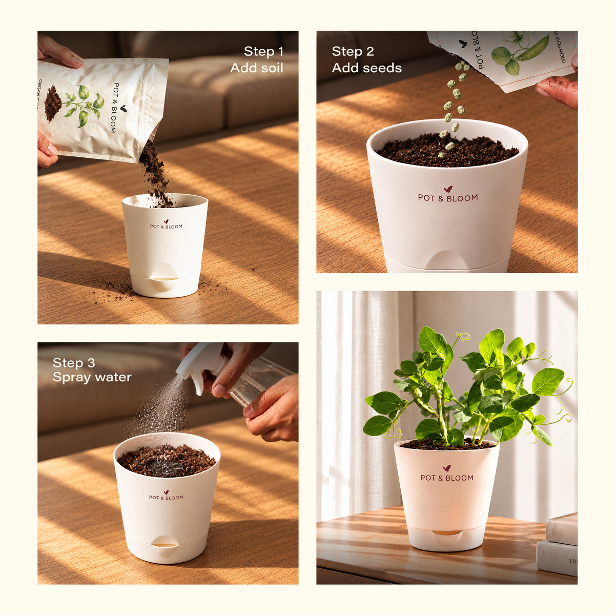 Peas Grow Kit