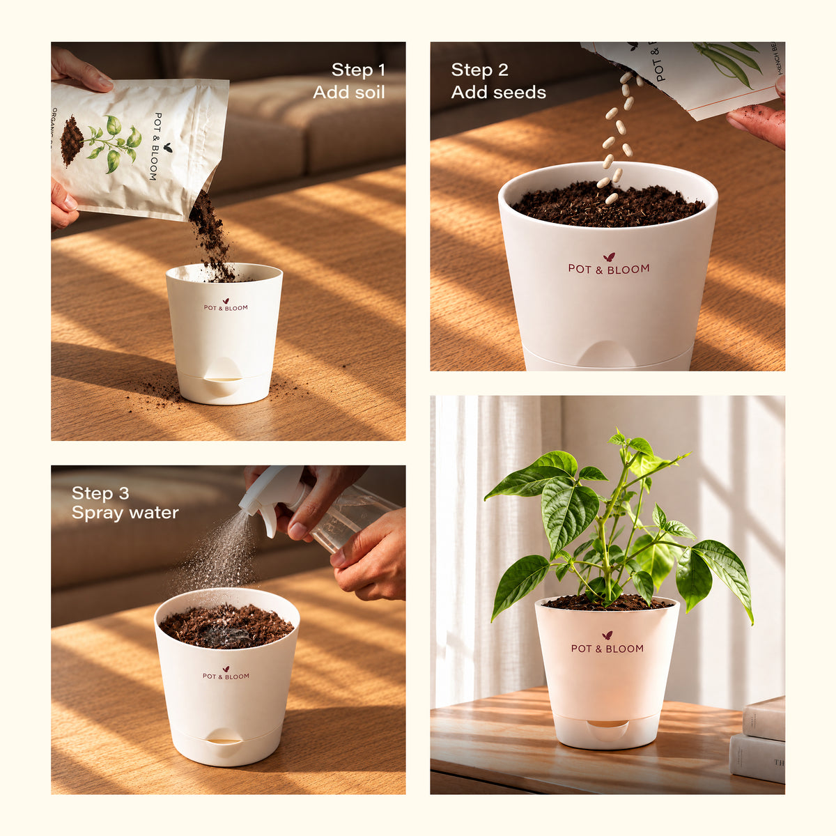 French Beans Grow Kit