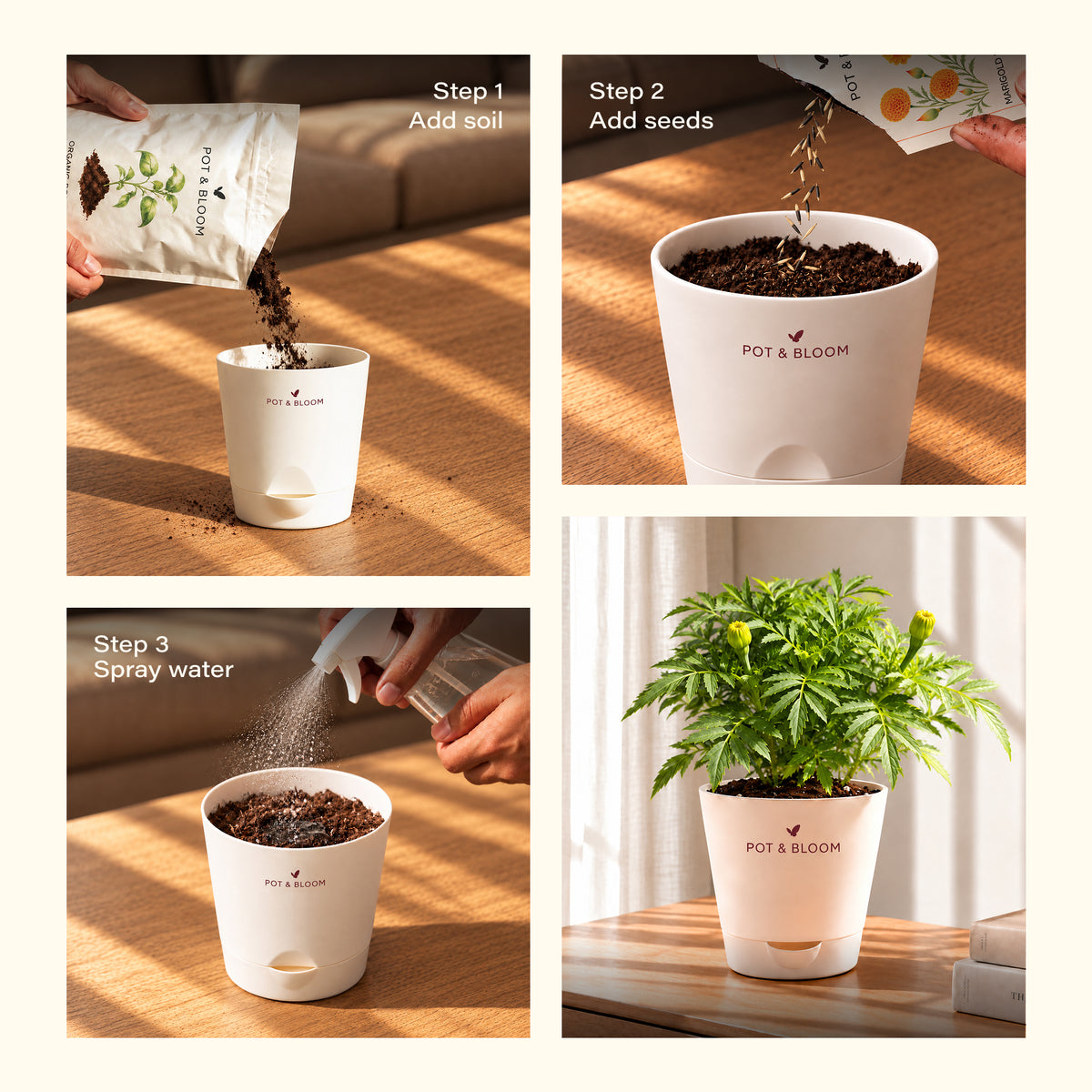Marigold Grow Kit