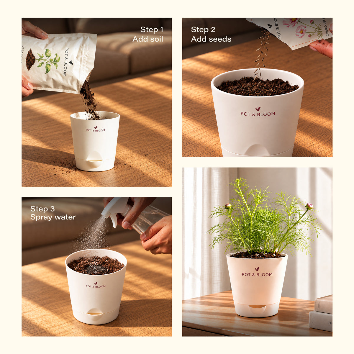 Cosmos Grow Kit