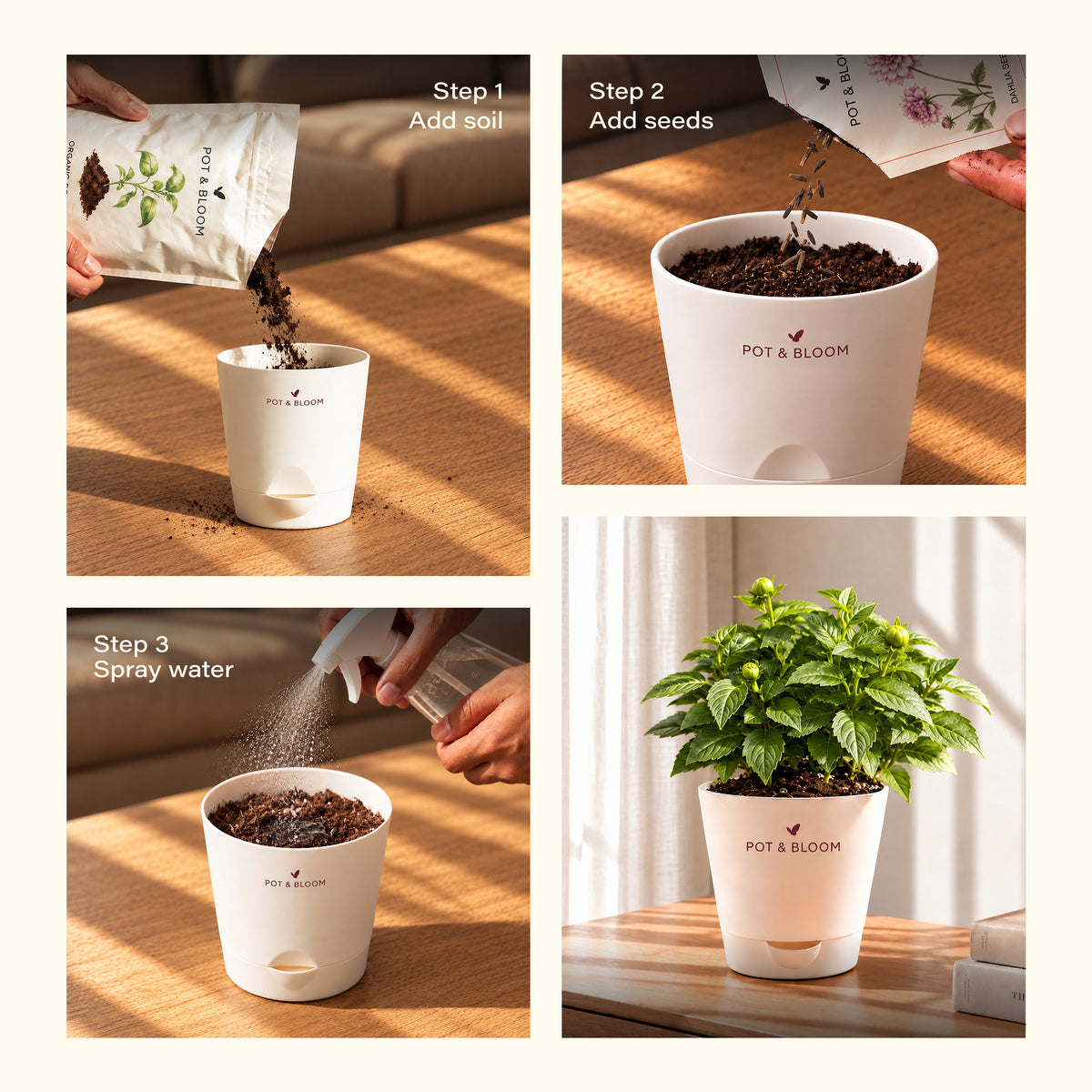 Dahlia Grow Kit