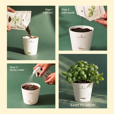 Cherry Tomato Grow Kit (4 Inch Kit)