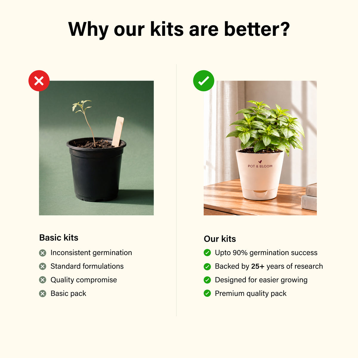 Zinnia Grow Kit