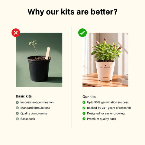 Petunia Grow Kit