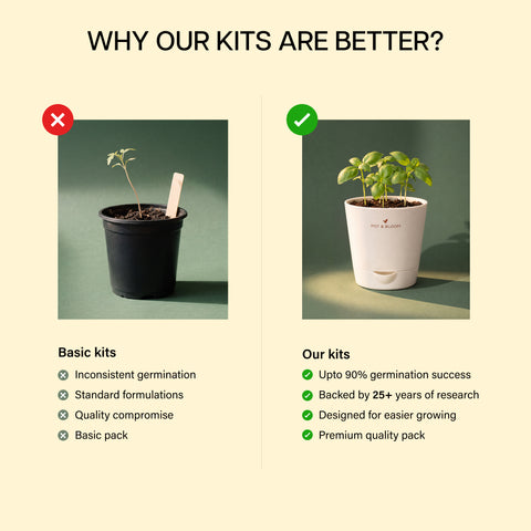 Cherry Tomato Grow Kit (4 Inch Kit)