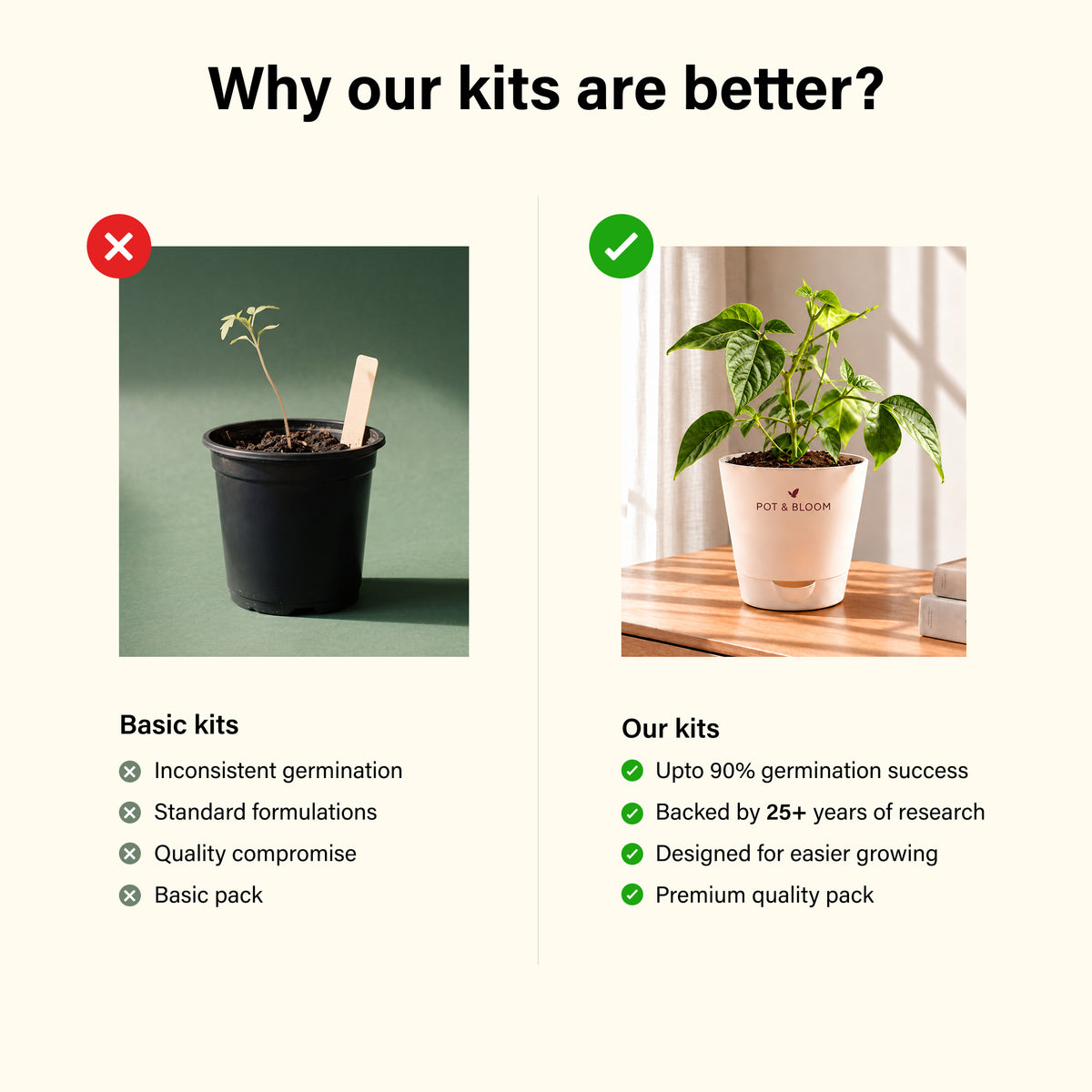 French Beans Grow Kit