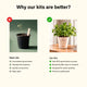 Oregano Kit
