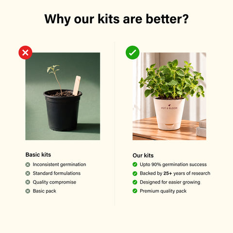 Oregano Kit