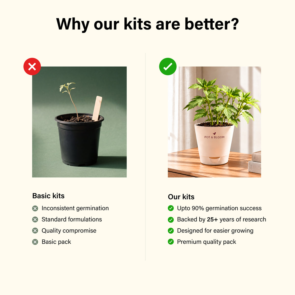 Okra Grow Kit