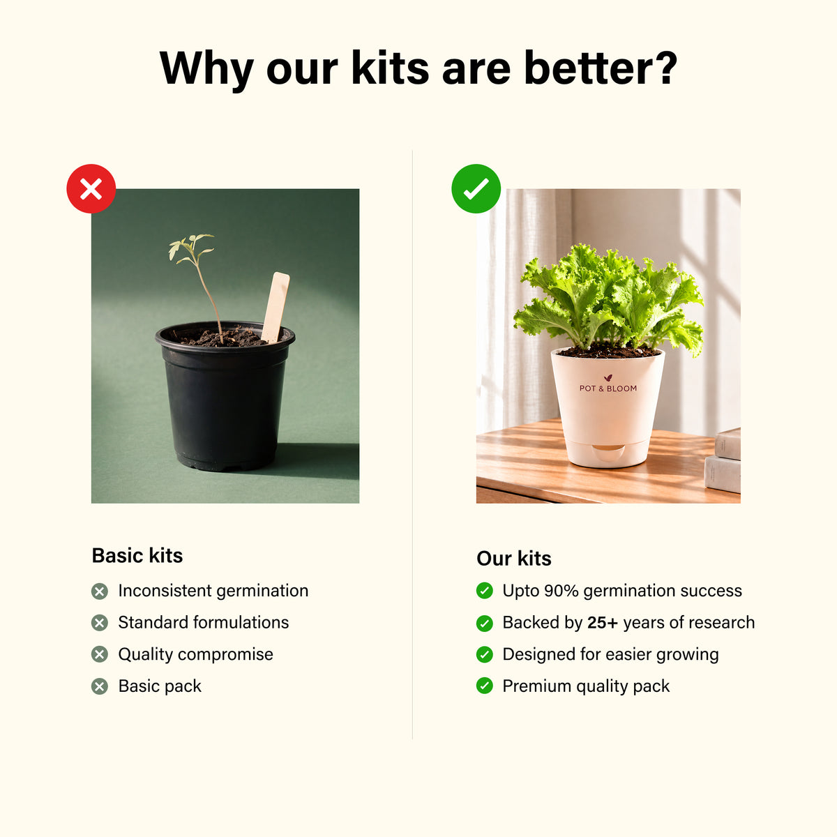 Lettuce Grow Kit