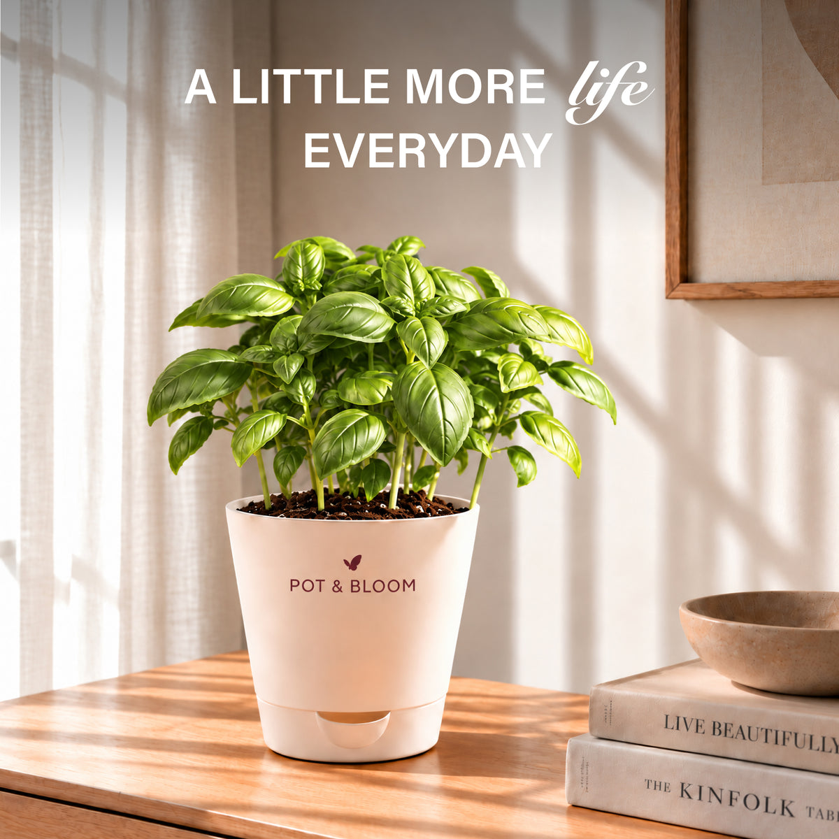 Italian Basil Kit
