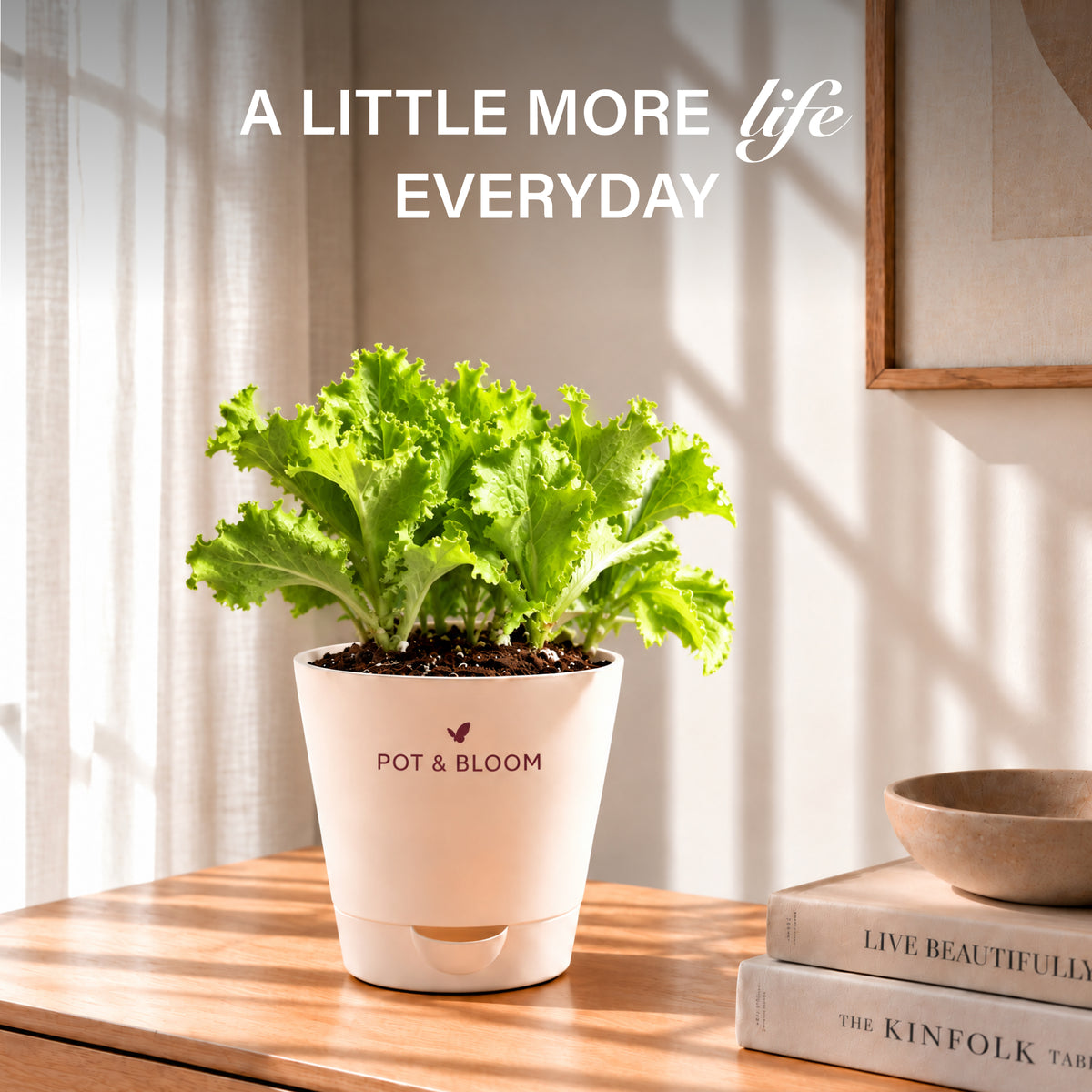 Lettuce Grow Kit