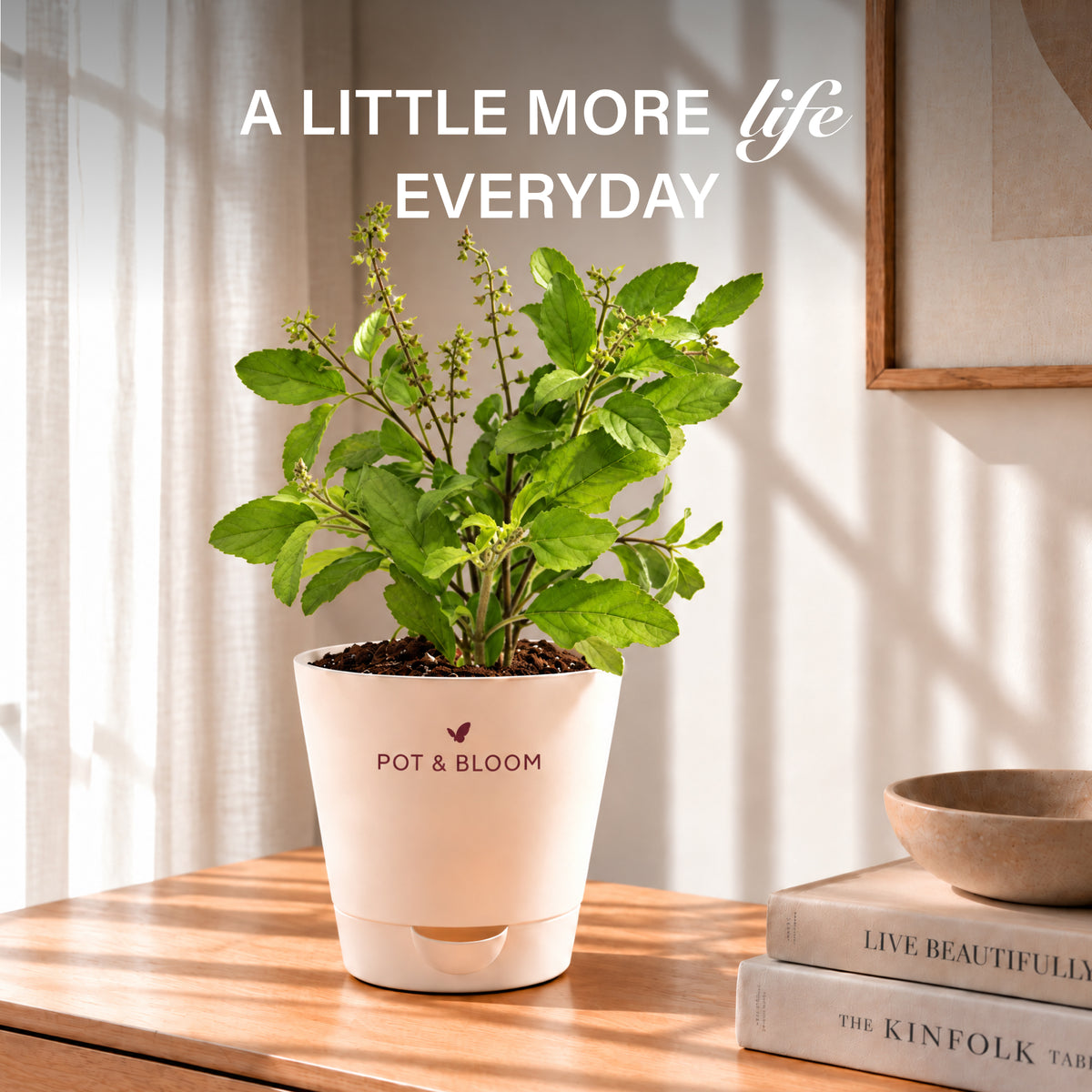 Tulsi Grow Kit