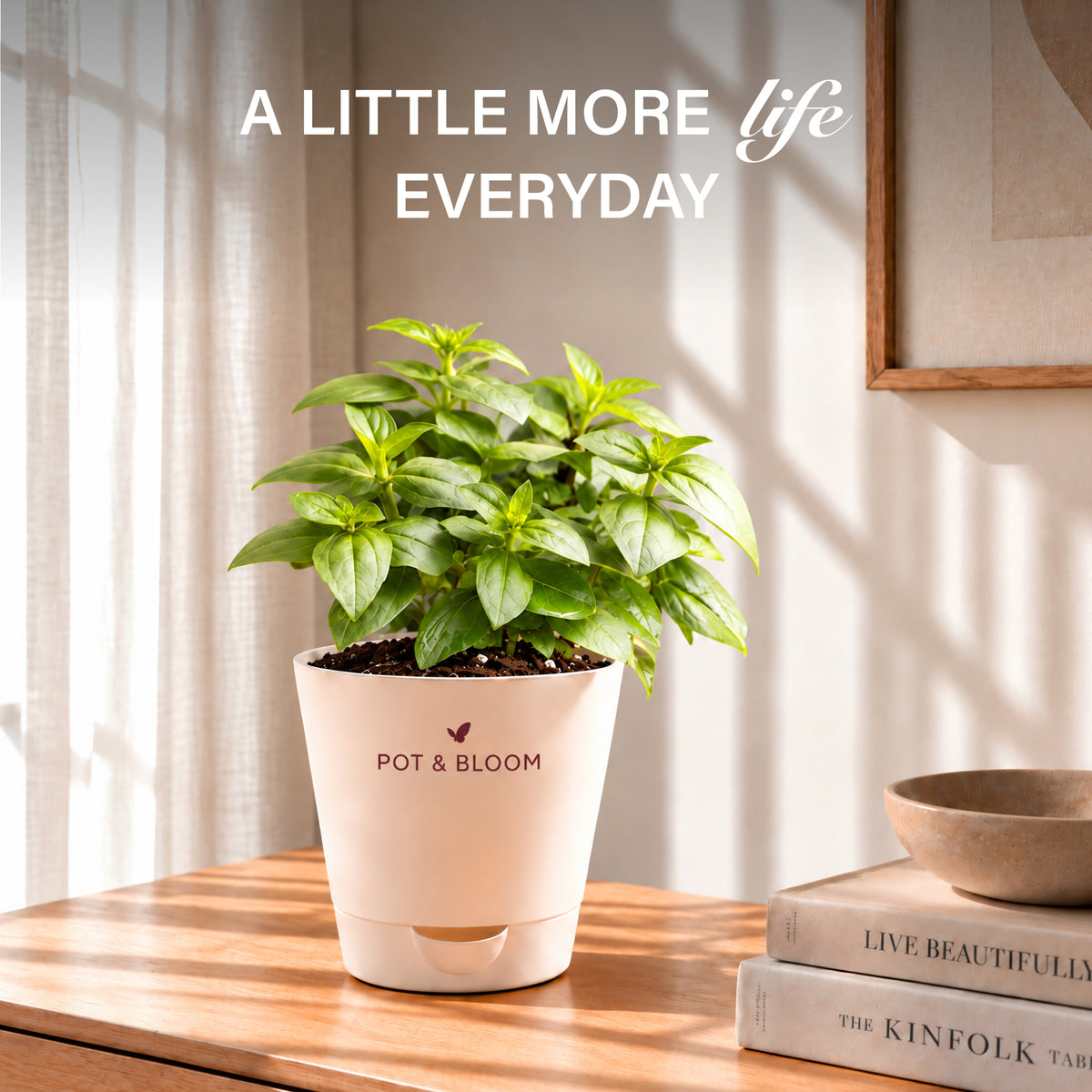 Zinnia Grow Kit