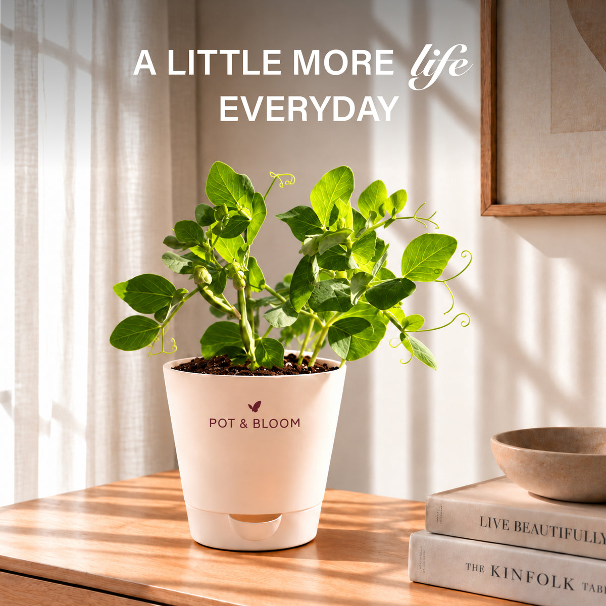 Peas Grow Kit