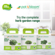 Italian Basil Kit