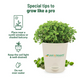 Oregano Kit