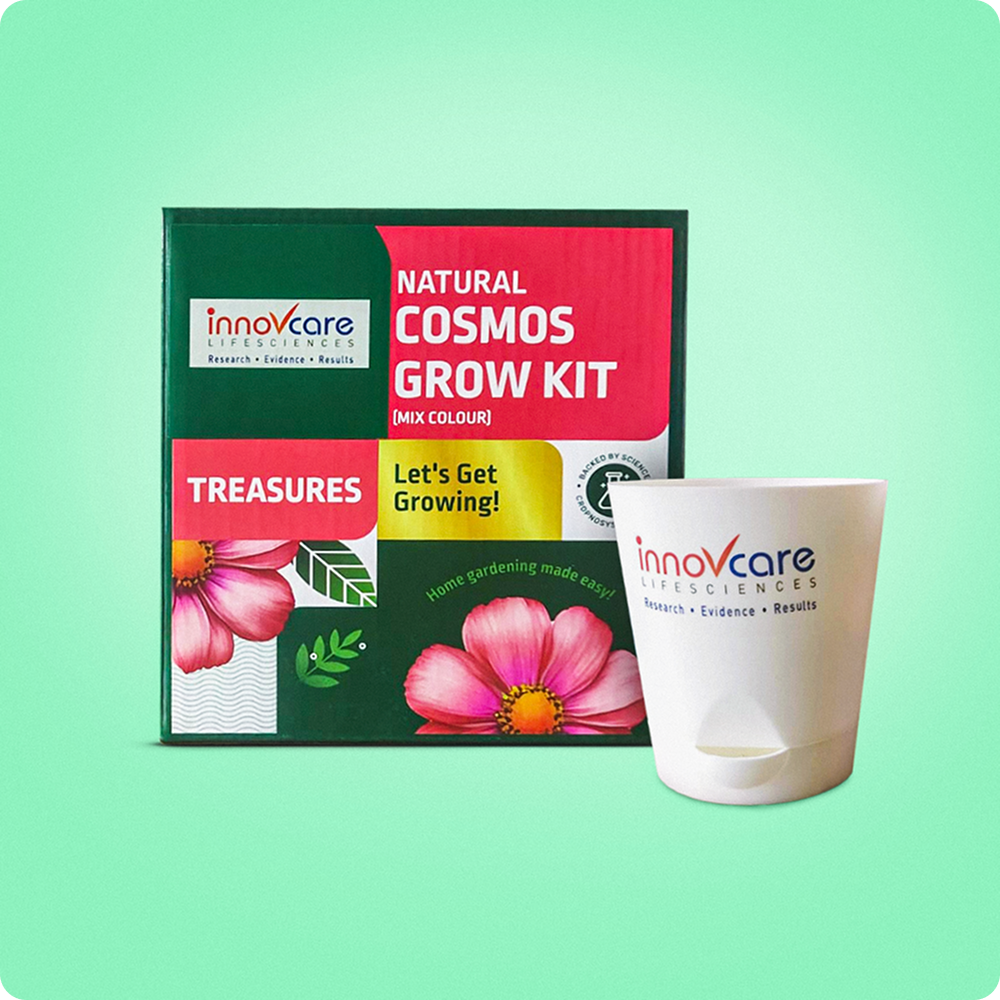 Hamper 7