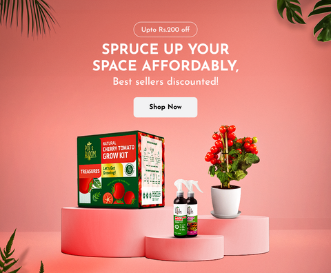 Treasures Gardening Kits