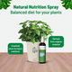 Nutrition and Protection Spray Combo 100ml
