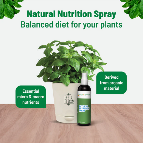 Nutrition and Protection Spray Combo 100ml