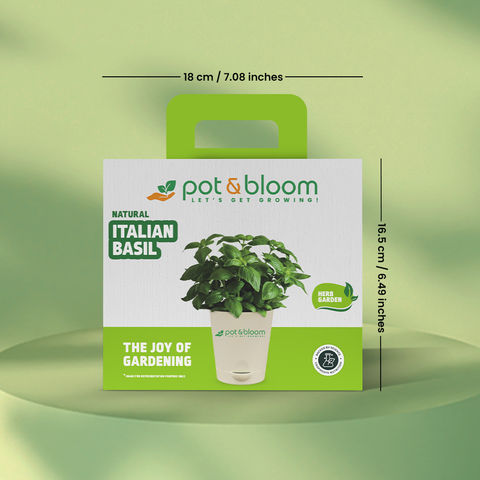 Italian Basil Kit