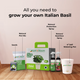 Italian Basil Kit