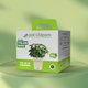 Italian Basil Kit
