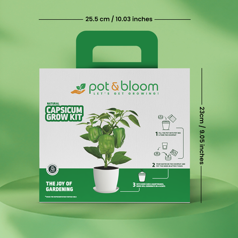 Capsicum Grow Kit (Big)