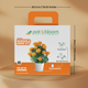 Marigold Grow Kit (Big)