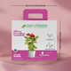 Zinnia Grow Kit (Big)