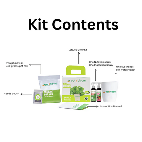 Lettuce Grow Kit (Medium)