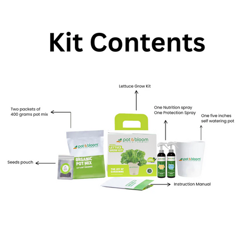 Lettuce Grow Kit (Medium)