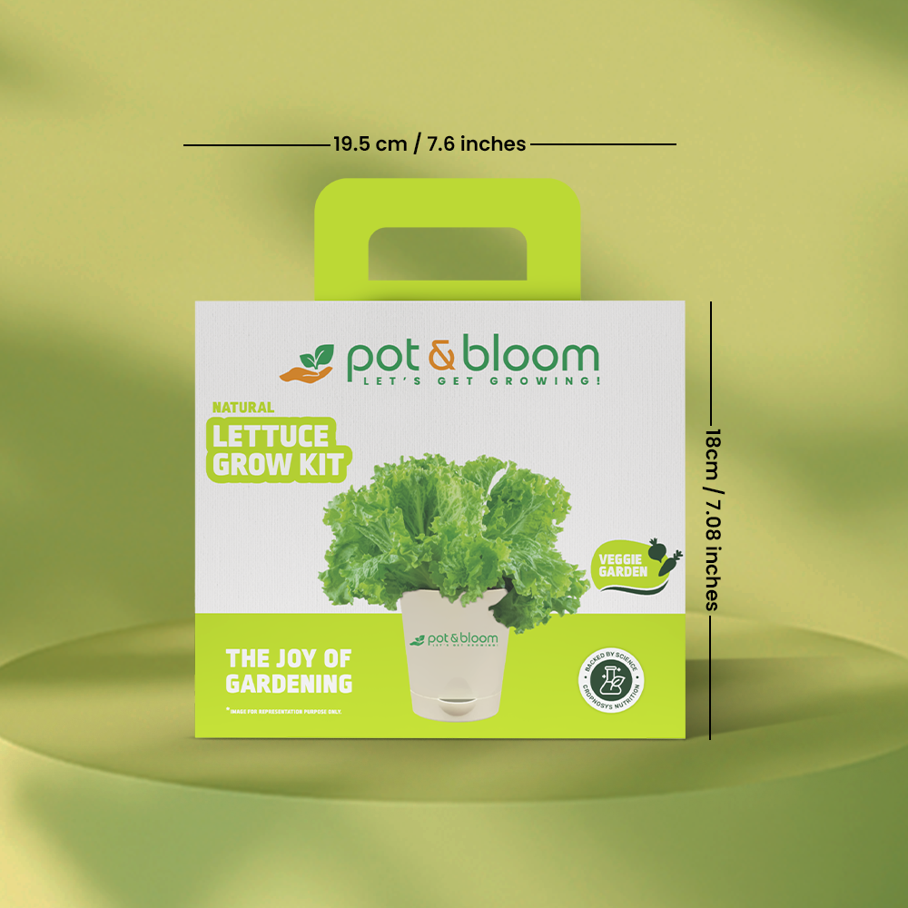 Buy Natural Lettuce Grow Kit Online at Best Price | Pot and Bloom