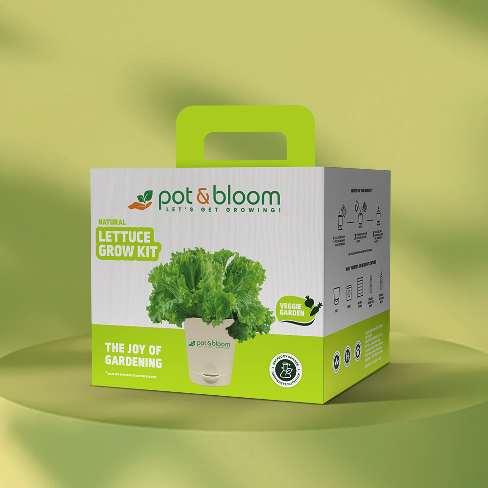 Buy Natural Lettuce Grow Kit Online at Best Price | Pot and Bloom