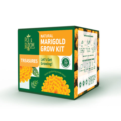 Treasures Marigold Kit