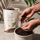 Vermicompost | Organic Fertilizer for Plants – Pot & Bloom