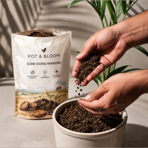 Cow Dung Manure | Organic Fertilizer for Plants – Pot & Bloom