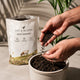 GOAT Manure | Organic Fertilizer for Plants – Pot & Bloom
