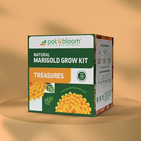 Treasures Marigold Kit