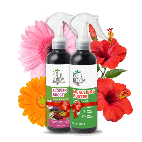 Mealy Bug Buster + Flower Boost 250 ml