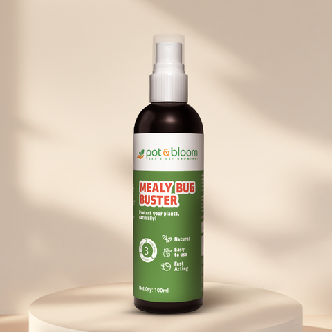 best bug spray for pot plants Buy Mealy Bug Buster Spray (100ml) Online at Best Price