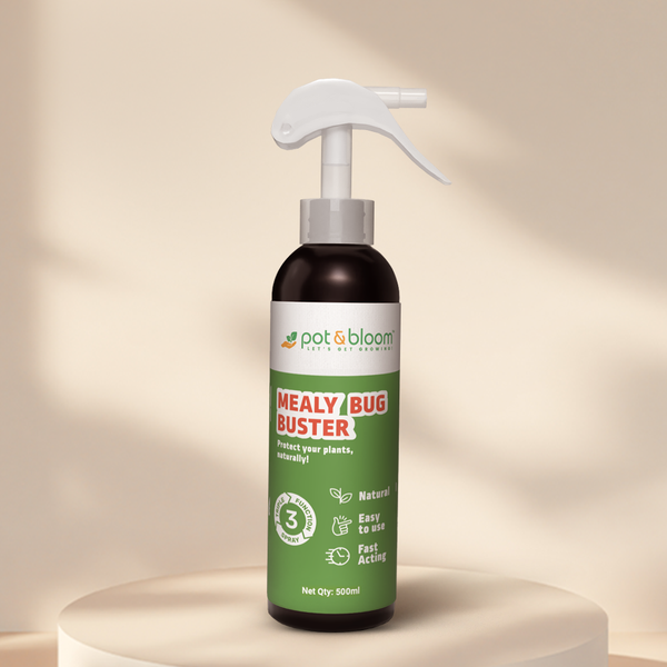 mealy bug spray indoor plant Buy Mealy Bug Control Spray (500ml) Online at Best Price