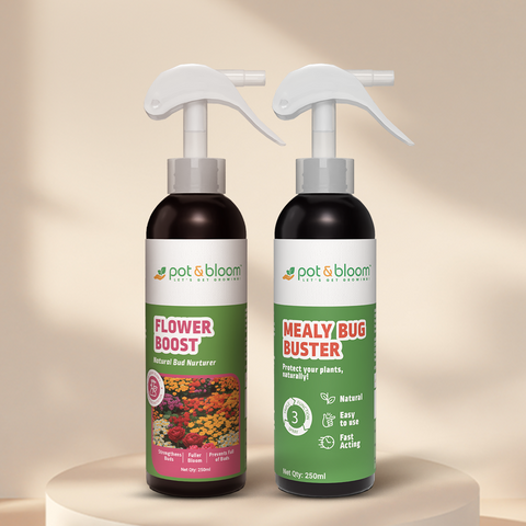 Mealy Bug Buster + Flower Boost 250 ml