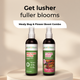 Mealy Bug Buster + Flower Boost 100 ml