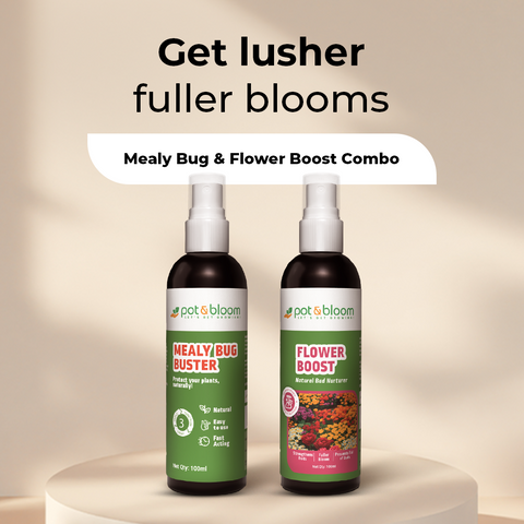 Mealy Bug Buster + Flower Boost 100 ml