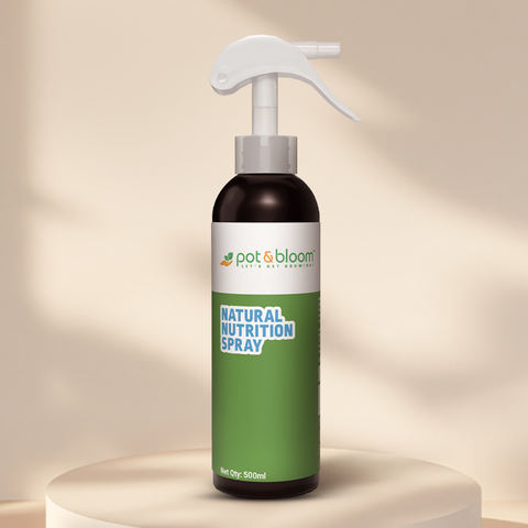 Nutrition Spray 500 ml