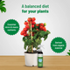 Nutrition Spray 250 ml