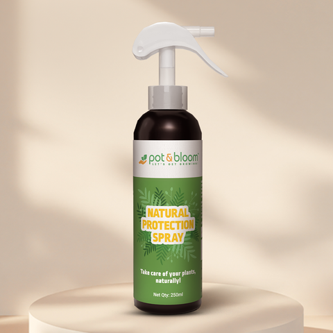Protection Spray 250 ml