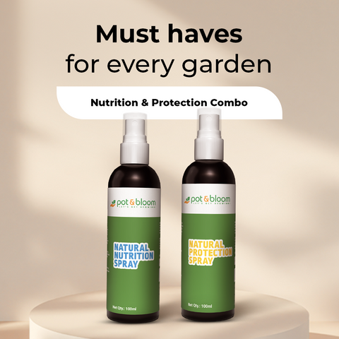Nutrition and Protection Spray Combo 100ml